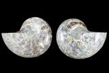 Bargain, Cut & Polished Ammonite (Anapuzosia?) Pair #88011-1